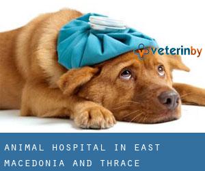 Animal Hospital in East Macedonia and Thrace