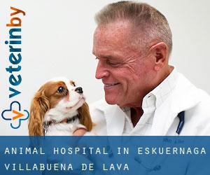Animal Hospital in Eskuernaga / Villabuena de Álava