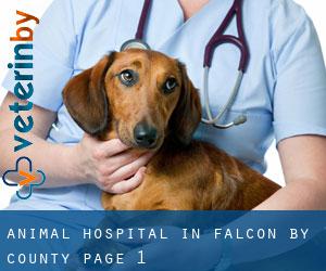 Animal Hospital in Falcón by County - page 1