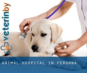 Animal Hospital in Fergana