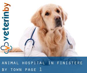 Animal Hospital in Finistère by town - page 1