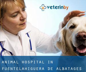 Animal Hospital in Fuentelahiguera de Albatages