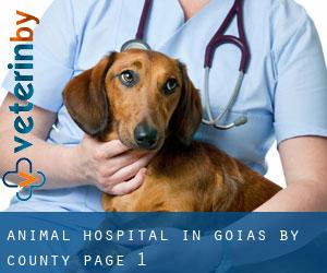 Animal Hospital in Goiás by County - page 1