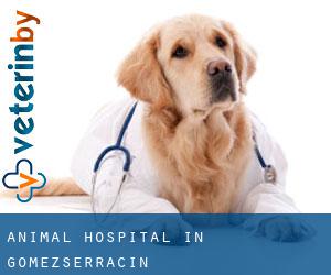 Animal Hospital in Gomezserracín