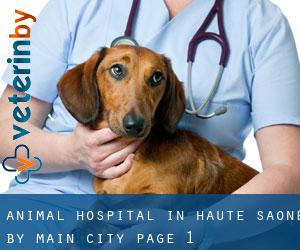 Animal Hospital in Haute-Saône by main city - page 1