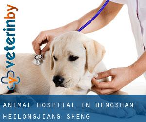 Animal Hospital in Hengshan (Heilongjiang Sheng)