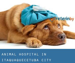 Animal Hospital in Itaquaquecetuba (City)