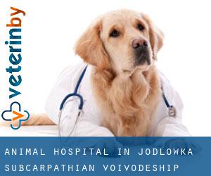 Animal Hospital in Jodłówka (Subcarpathian Voivodeship)