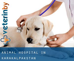 Animal Hospital in Karakalpakstan