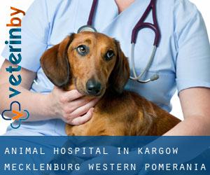 Animal Hospital in Kargow (Mecklenburg-Western Pomerania)