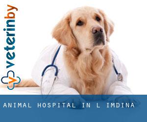 Animal Hospital in L-Imdina