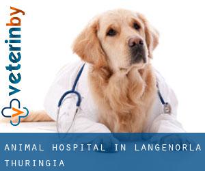 Animal Hospital in Langenorla (Thuringia)