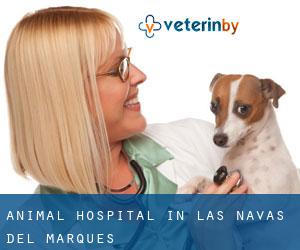 Animal Hospital in Las Navas del Marqués
