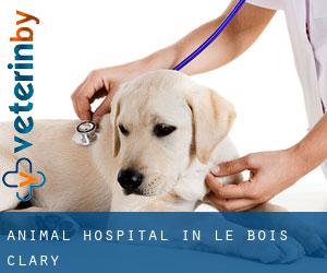 Animal Hospital in Le Bois-Clary