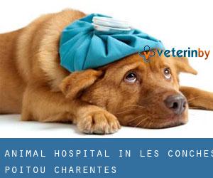 Animal Hospital in Les Conches (Poitou-Charentes)
