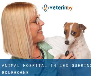 Animal Hospital in Les Guérins (Bourgogne)