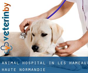 Animal Hospital in Les Hameaux (Haute-Normandie)