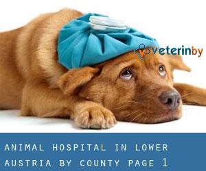 Animal Hospital in Lower Austria by County - page 1