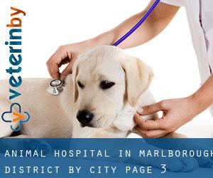 Animal Hospital in Marlborough District by city - page 3