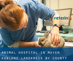 Animal Hospital in Mayen-Koblenz Landkreis by county seat - page 2