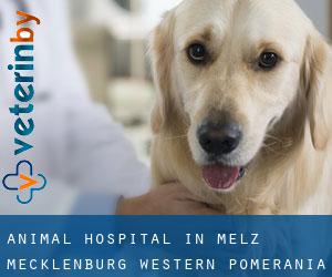 Animal Hospital in Melz (Mecklenburg-Western Pomerania)