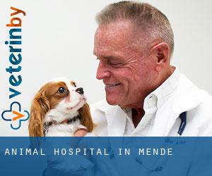 Animal Hospital in Mende