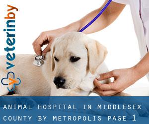 Animal Hospital in Middlesex County by metropolis - page 1