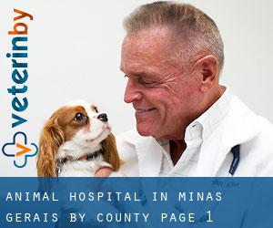 Animal Hospital in Minas Gerais by County - page 1