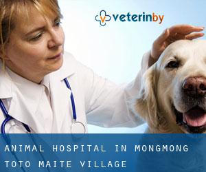 Animal Hospital in Mongmong-Toto-Maite Village