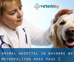 Animal Hospital in Navarre by metropolitan area - page 1 (Province)