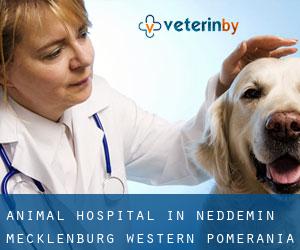 Animal Hospital in Neddemin (Mecklenburg-Western Pomerania)