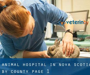 Animal Hospital in Nova Scotia by County - page 1