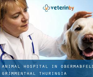 Animal Hospital in Obermaßfeld-Grimmenthal (Thuringia)