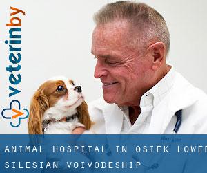 Animal Hospital in Osiek (Lower Silesian Voivodeship)