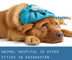 Animal Hospital in Other Cities in Kazakhstan