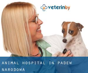 Animal Hospital in Padew Narodowa