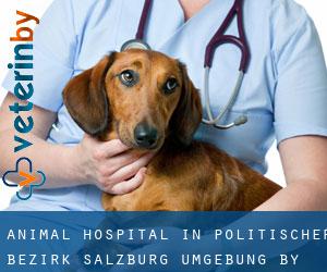 Animal Hospital in Politischer Bezirk Salzburg Umgebung by main city - page 1