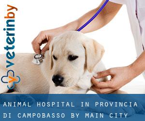Animal Hospital in Provincia di Campobasso by main city - page 1