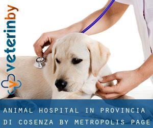 Animal Hospital in Provincia di Cosenza by metropolis - page 1