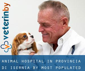 Animal Hospital in Provincia di Isernia by most populated area - page 1