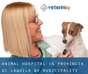 Animal Hospital in Provincia di L'Aquila by municipality - page 1
