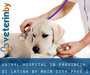 Animal Hospital in Provincia di Latina by main city - page 1
