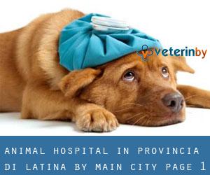 Animal Hospital in Provincia di Latina by main city - page 1