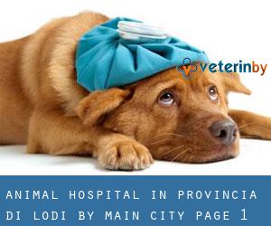 Animal Hospital in Provincia di Lodi by main city - page 1