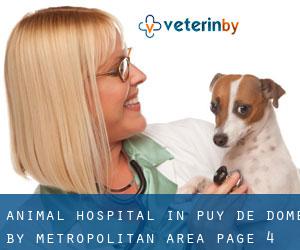 Animal Hospital in Puy-de-Dôme by metropolitan area - page 4