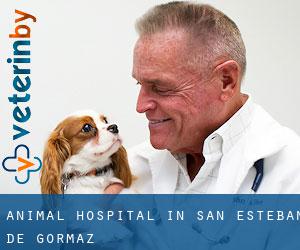 Animal Hospital in San Esteban de Gormaz