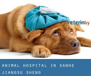 Animal Hospital in Sanhe (Jiangsu Sheng)