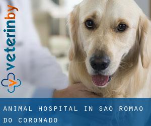 Animal Hospital in São Romão do Coronado