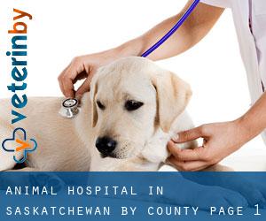 Animal Hospital in Saskatchewan by County - page 1