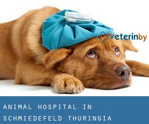 Animal Hospital in Schmiedefeld (Thuringia)